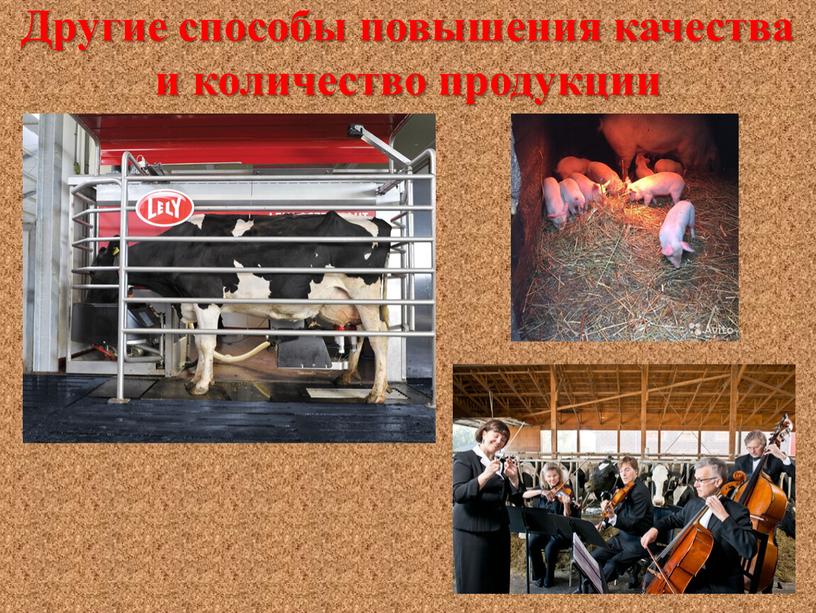 Другие способы повышения качества и количество продукции