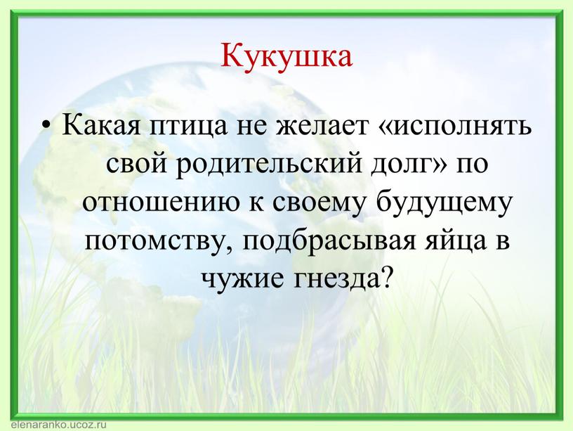 Кукушка Какая птица не желает «исполнять свой родительский долг» по отношению к своему будущему потомству, подбрасывая яйца в чужие гнезда?