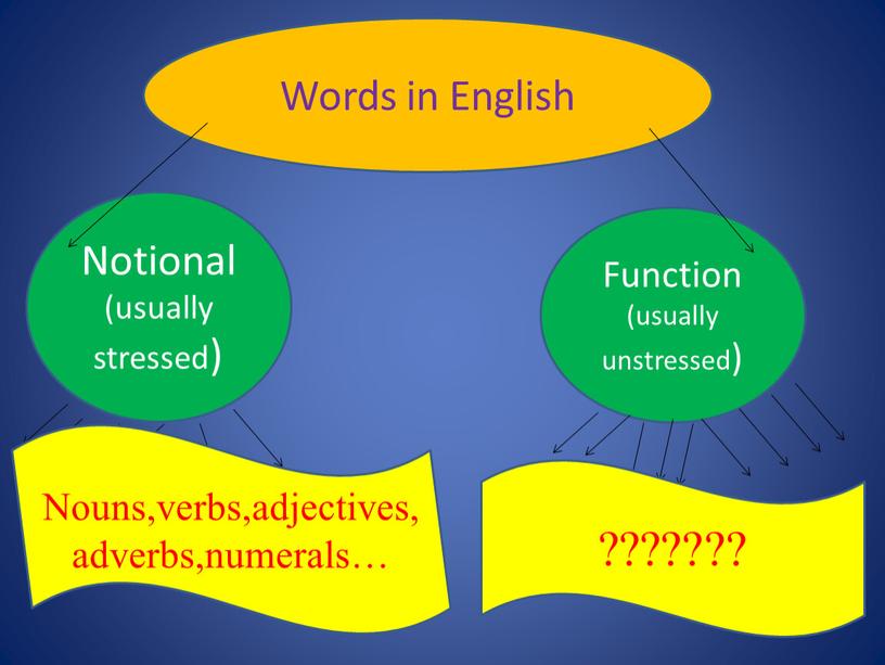 Words in English Notional (usually stressed)