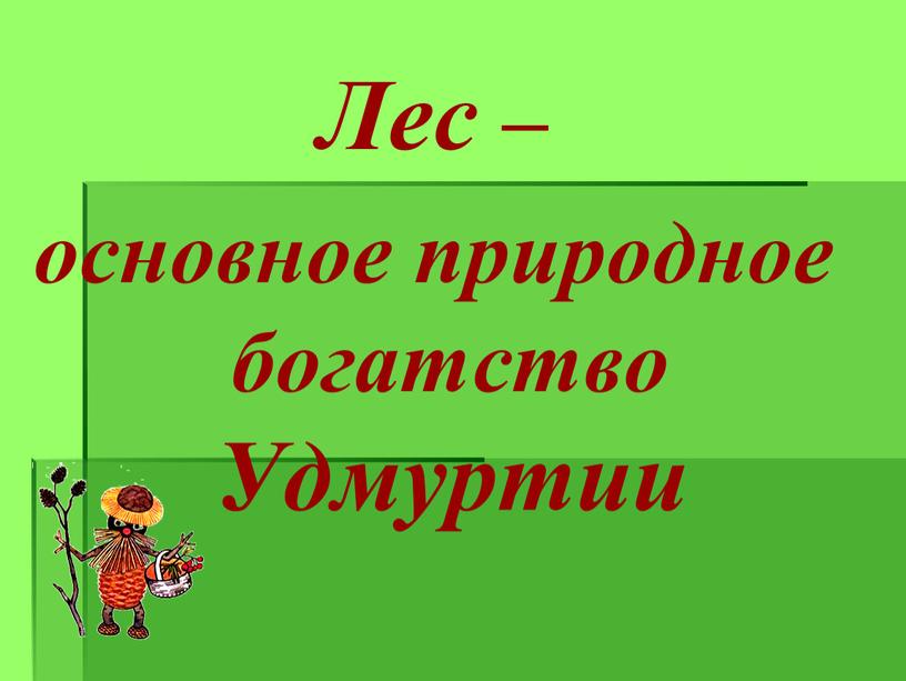 Лес – основное природное богатство