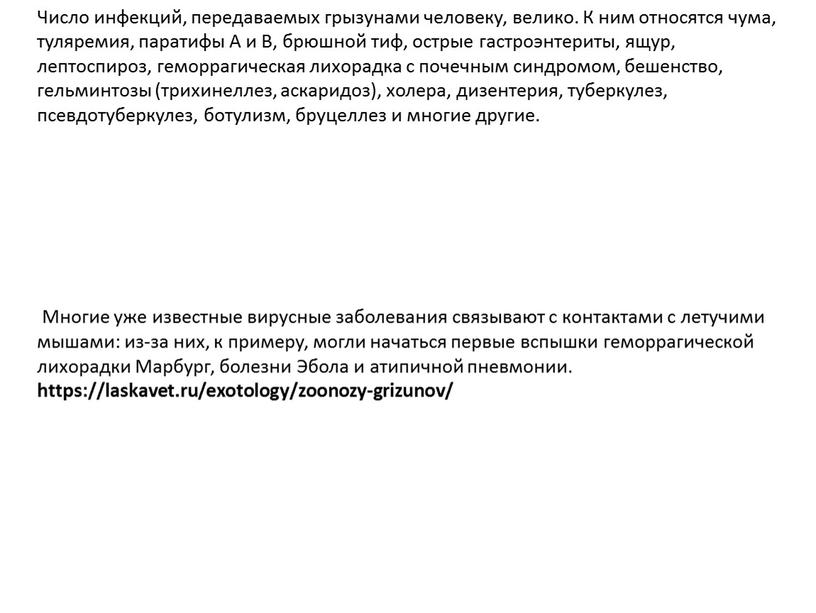 Число инфекций, передаваемых грызунами человеку, велико