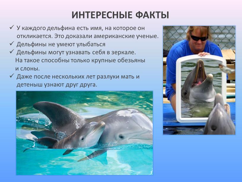 ИНТЕРЕСНЫЕ ФАКТЫ У каждого дельфина есть имя, на которое он откликается