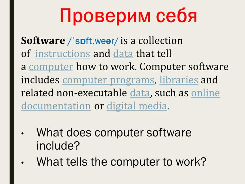 Проверим себя Software /ˈsɒft