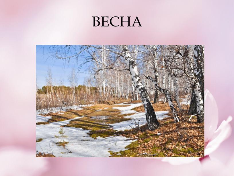 ВЕСНА