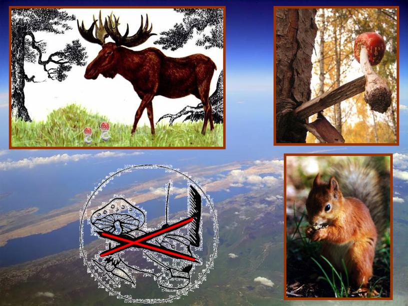 Урок окружающего мира в 3 классе «Природа в опасности! Охрана природы»