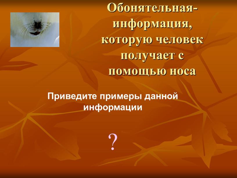 Обонятельная- информация, которую человек получает с помощью носа