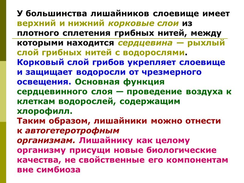 У большинства лишайников слоевище имеет верхний и нижний корковые слои из плотного сплетения грибных нитей, между которыми находится сердцевина — рыхлый слой грибных нитей с…