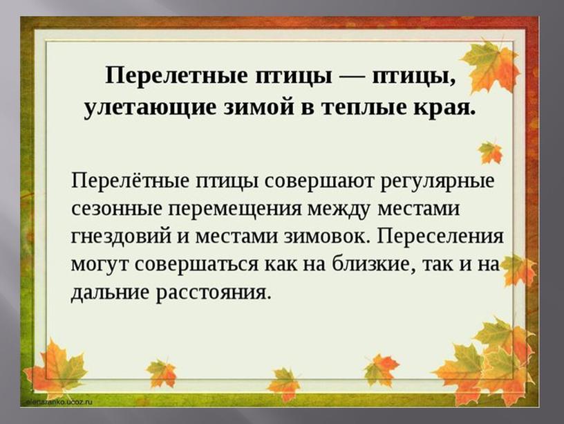 Презентация на тему: "Перелётные птицы".