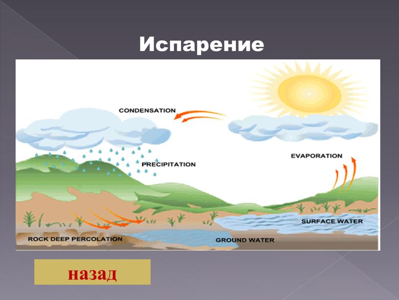 Испарение назад