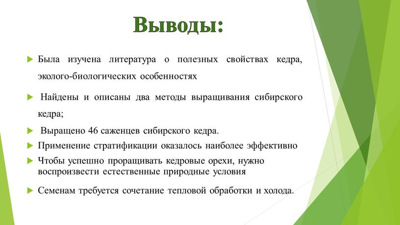 Была изучена литература о полезных свойствах кедра, эколого-биологических особенностях