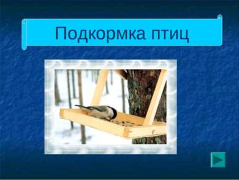 Презентация по русскому языку на тему "Кормушка для птиц"