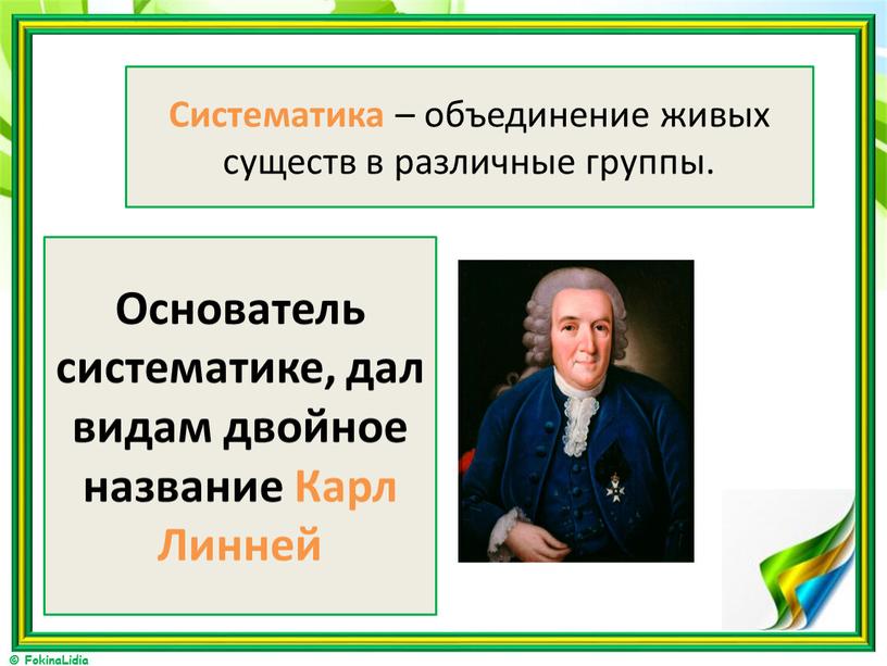 Систематика – объединение живых существ в различные группы