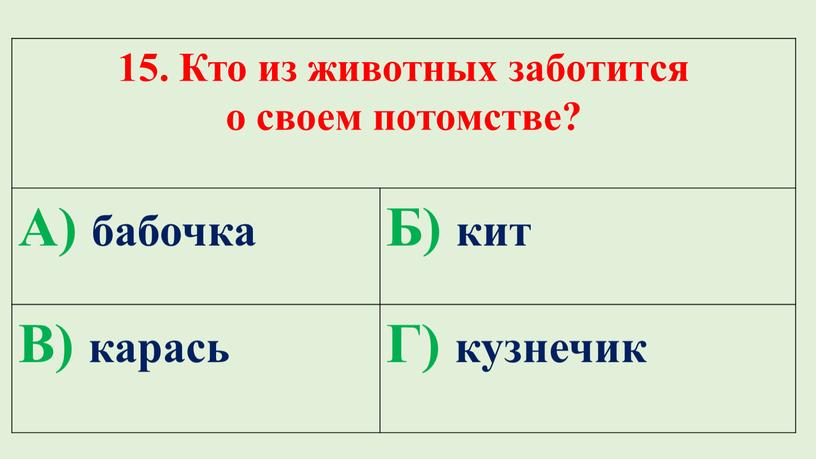 Кто из животных заботится о своем потомстве?