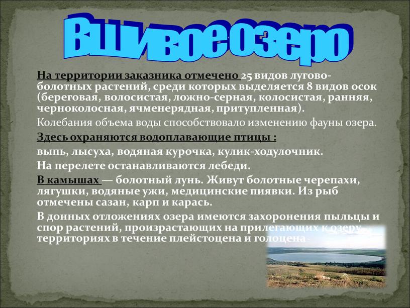 На территории заказника отмечено 25 видов лугово-болотных растений, среди которых выделяется 8 видов осок (береговая, волосистая, ложно-серная, колосистая, ранняя, черноколосная, ячменерядная, притупленная)