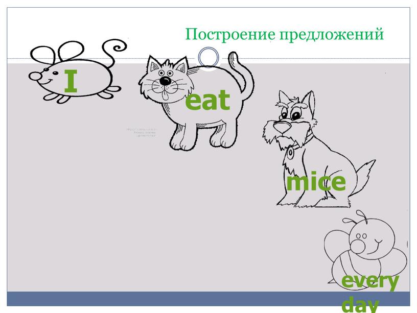 I eat mice every day Построение предложений