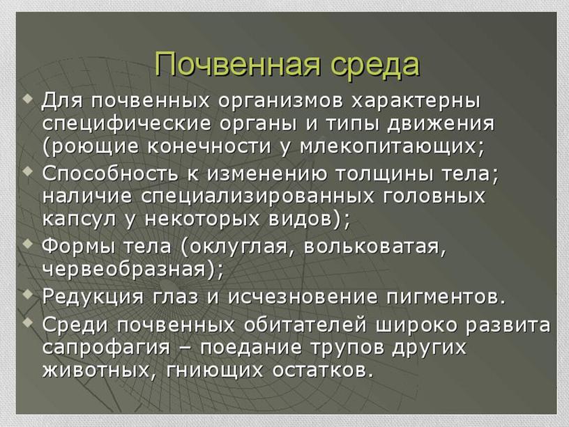 Презентация по окружающему миру в 3 классе