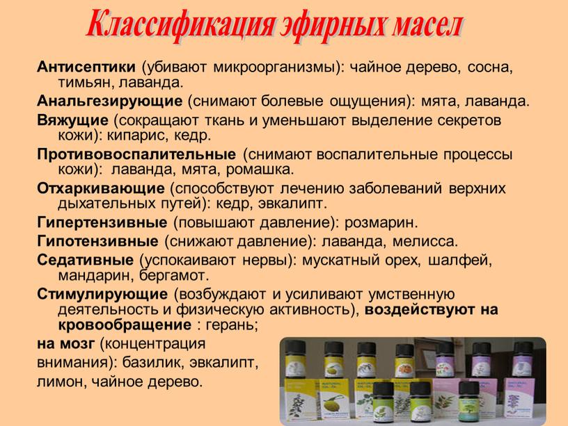 Антисептики (убивают микроорганизмы): чайное дерево, сосна, тимьян, лаванда