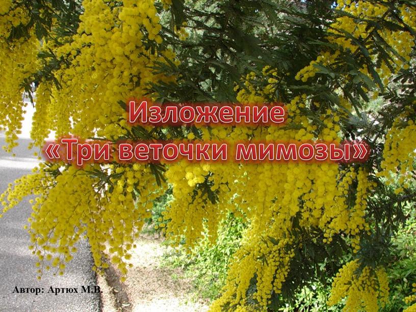 Изложение «Три веточки мимозы»