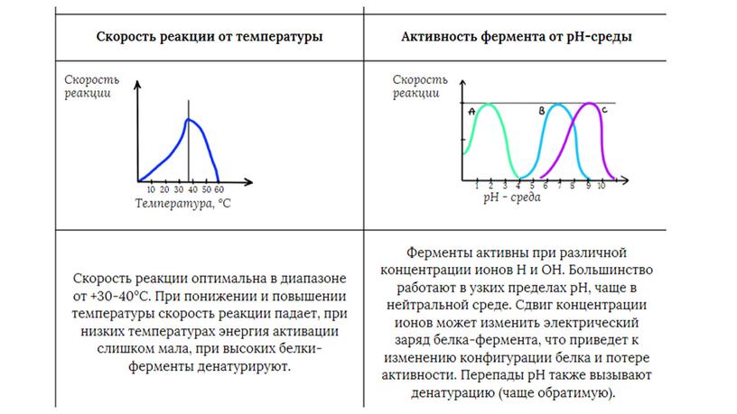 Подготовка к егэ задание 23