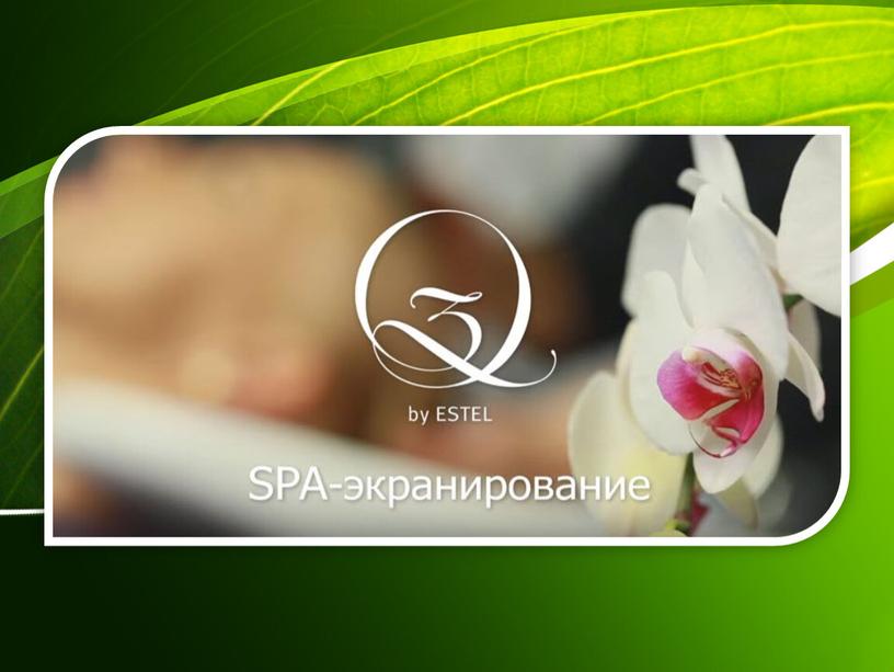 Презентация в электронном виде по теме: SPA-экранирование