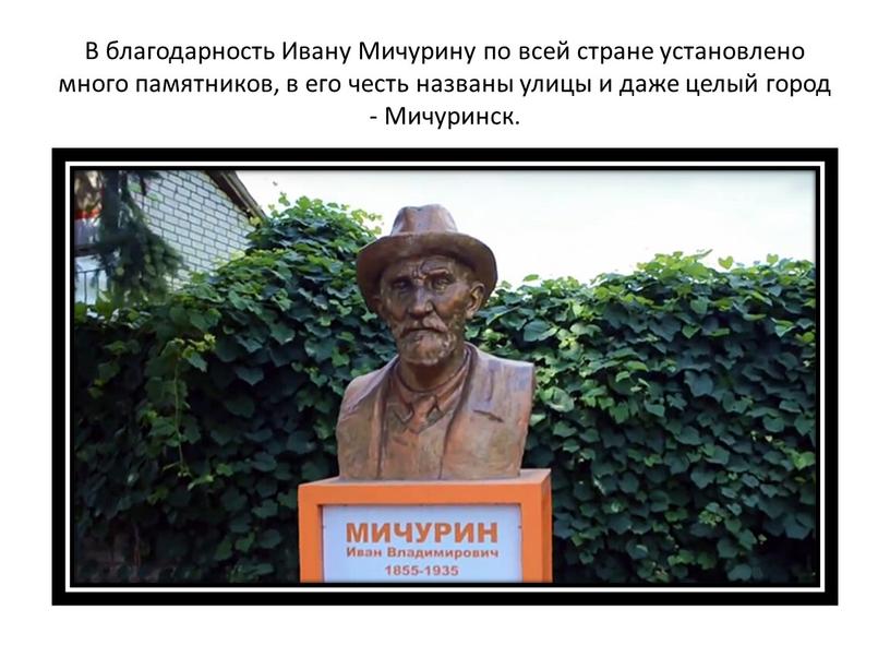 В благодарность Ивану Мичурину по всей стране установлено много памятников, в его честь названы улицы и даже целый город -