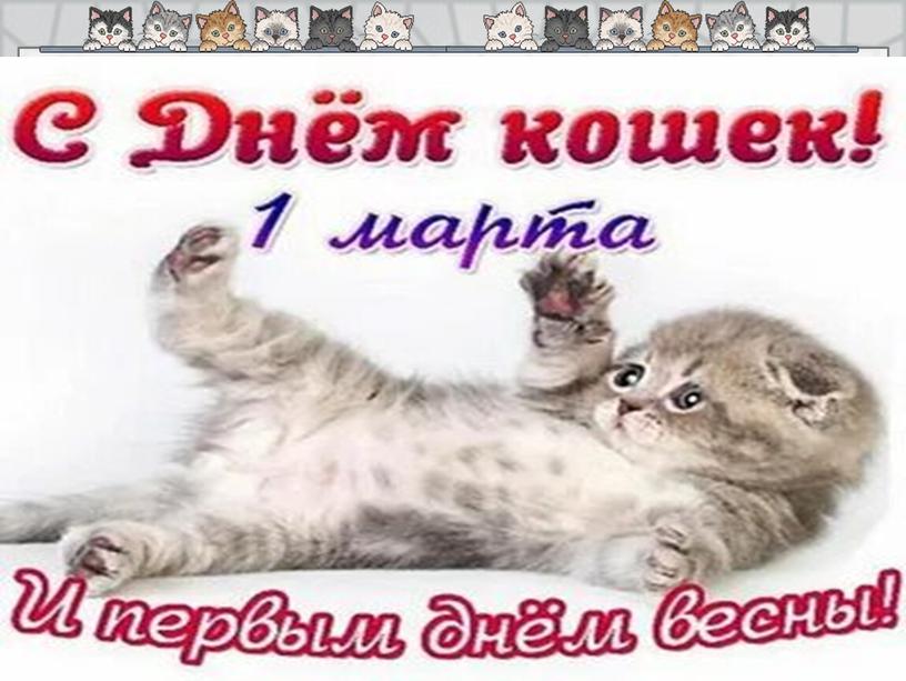 Информационная газета " Планета кошек"