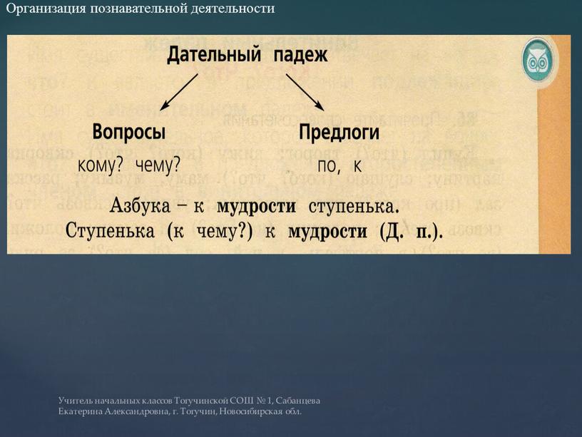 Организация познавательной деятельности