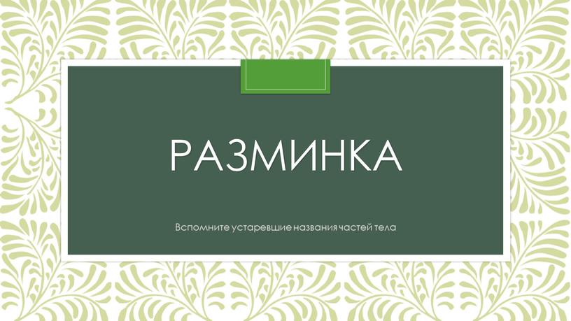 Разминка Вспомните устаревшие названия частей тела