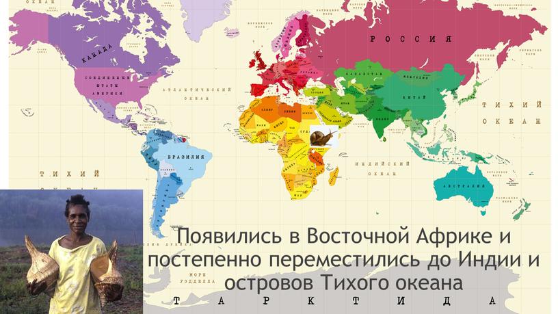 Появились в Восточной Африке и постепенно переместились до