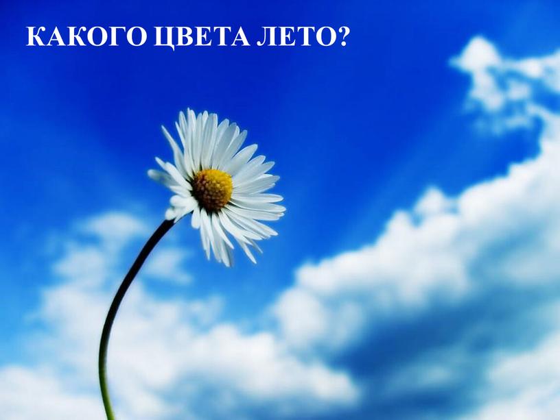 КАКОГО ЦВЕТА ЛЕТО?