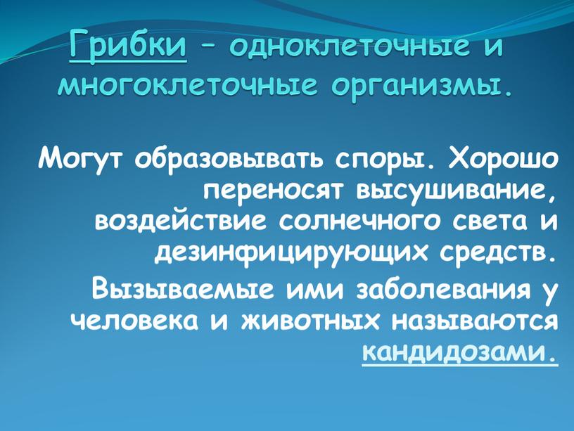 Грибки – одноклеточные и многоклеточные организмы