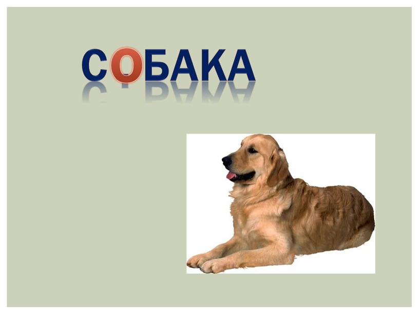 С . бака о