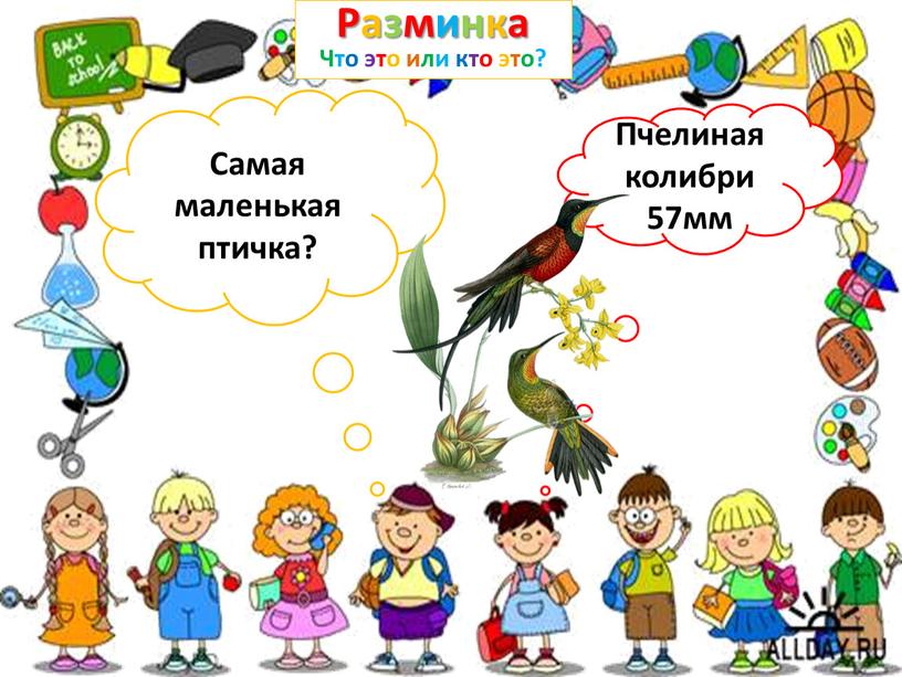 Разминка Что это или кто это? Самая маленькая птичка?