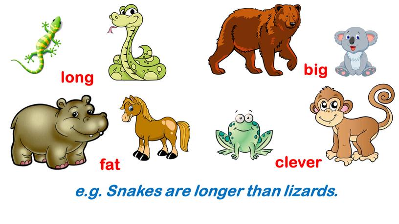 Snakes are longer than lizards