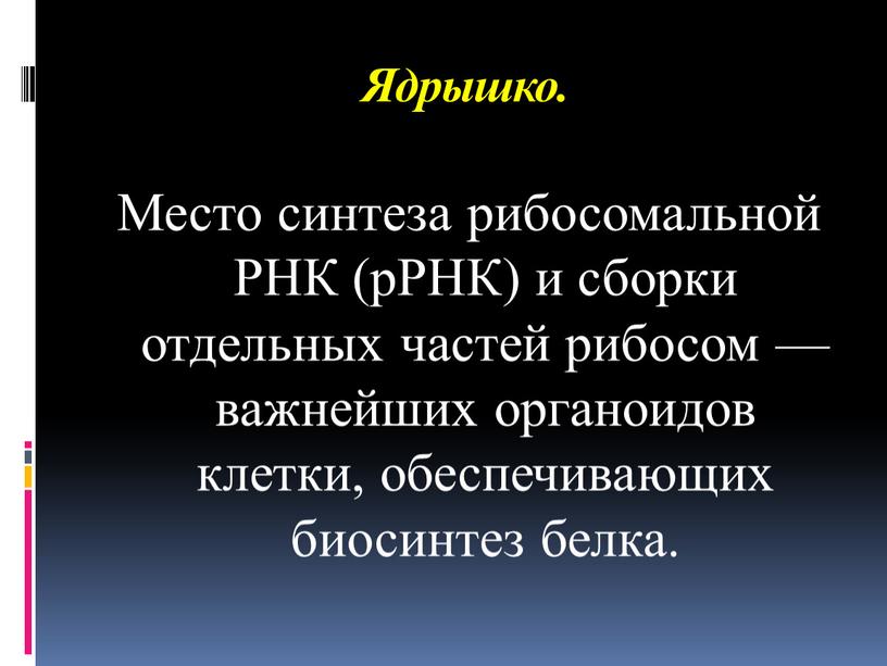 Ядрышко. Место синтеза рибосомальной