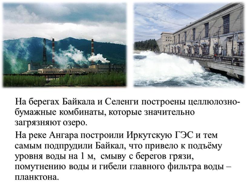 На берегах Байкала и Селенги построены целлюлозно-бумажные комбинаты, которые значительно загрязняют озеро
