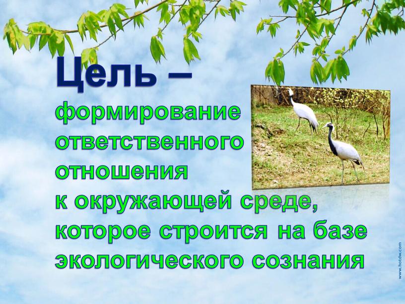 Цель – формирование ответственного отношения к окружающей среде, которое строится на базе экологического сознания