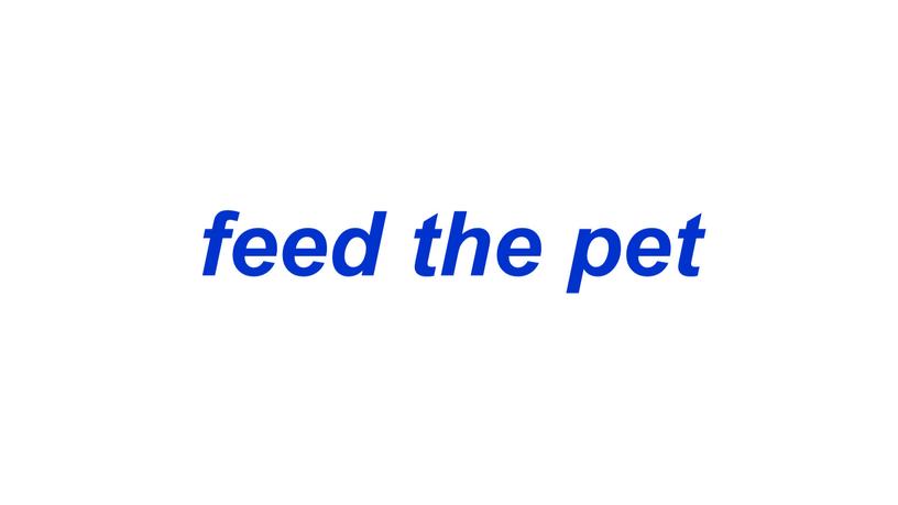 feed the pet