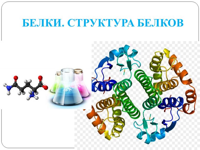 БЕЛКИ. СТРУКТУРА БЕЛКОВ