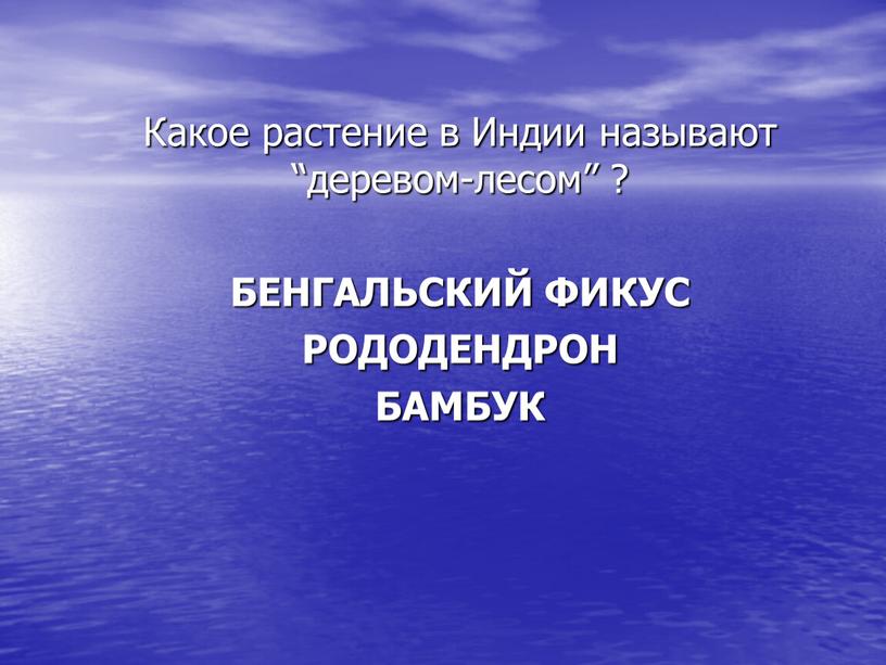 Какое растение в Индии называют “деревом-лесом” ?