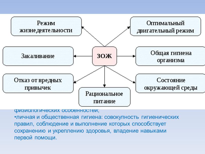 Элементы здорового образа жизни: воспитание с раннего детства здоровых привычек и навыков; окружающая среда: безопасная и благоприятная для обитания, знания о влиянии неблагоприятных факторов окружающей…