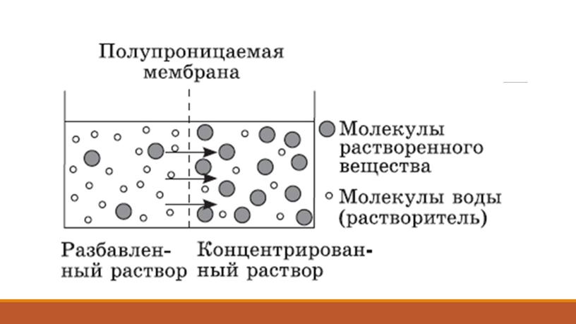 Презентация Клетка как биологическая система. Подготовка к ЕГЭ