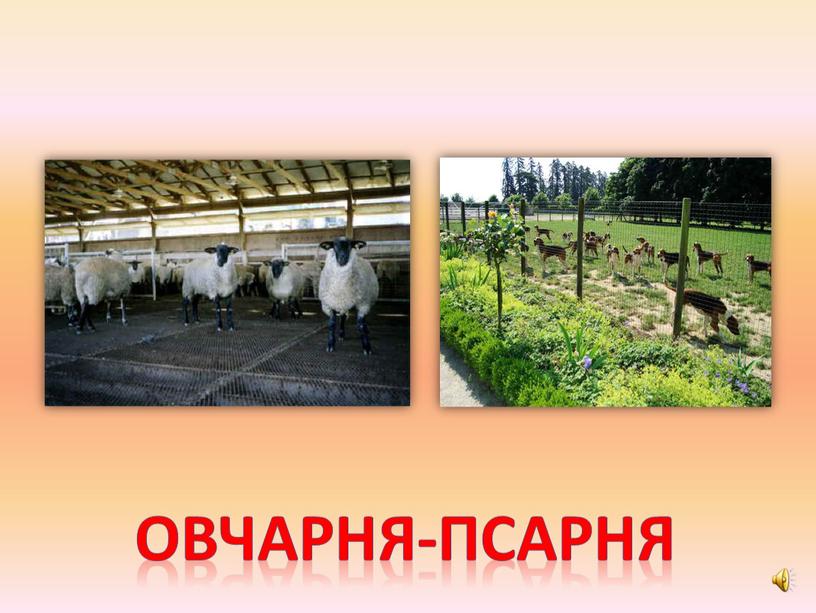 Овчарня-псарня