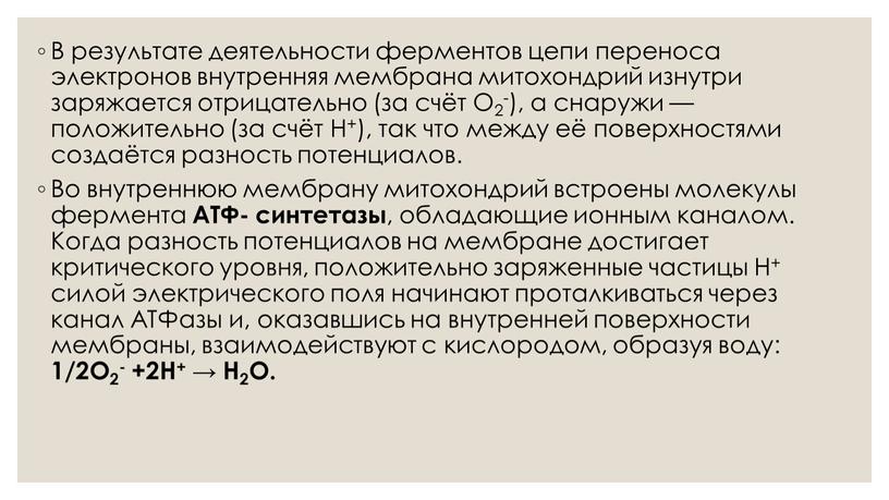 В результате деятельности ферментов цепи переноса электронов внутренняя мембрана митохондрий изнутри заряжается отрицательно (за счёт