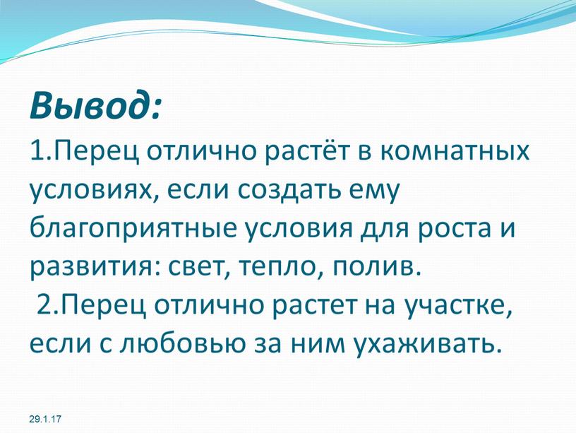 Вывод: 1.Перец отлично растёт в комнатных условиях, если создать ему благоприятные условия для роста и развития: свет, тепло, полив