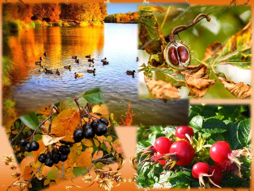 Виртуальная экскурсия "Осенние явления в природе"