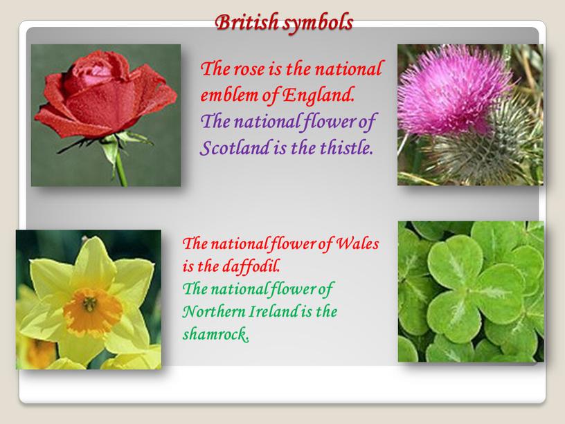 British symbols The rose is the national emblem of