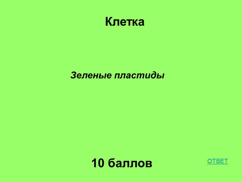 Клетка 10 баллов Зеленые пластиды