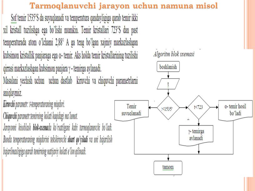 Tarmoqlanuvchi jarayon uchun namuna misol