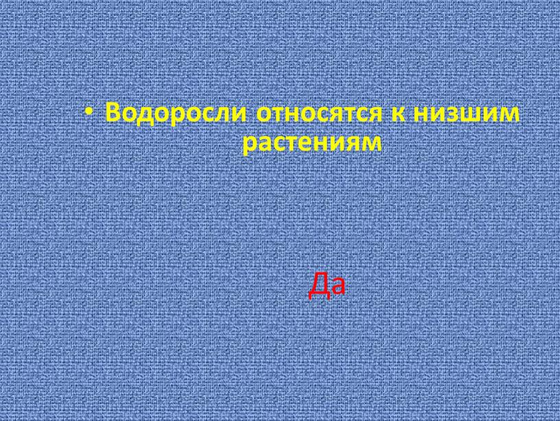 Водоросли относятся к низшим растениям